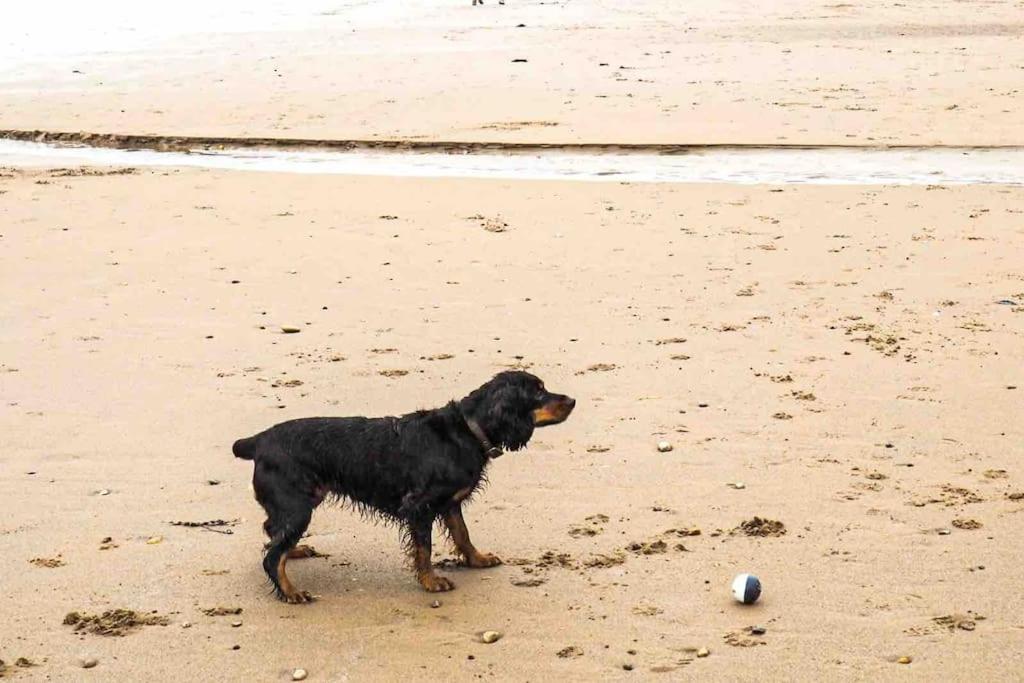 Large Cottage, Beach, Pubs Shops, Netflix, Bbq, Dog Friendly Hunmanby Zewnętrze zdjęcie