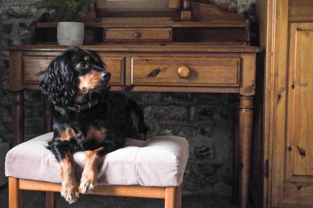 Large Cottage, Beach, Pubs Shops, Netflix, Bbq, Dog Friendly Hunmanby Zewnętrze zdjęcie